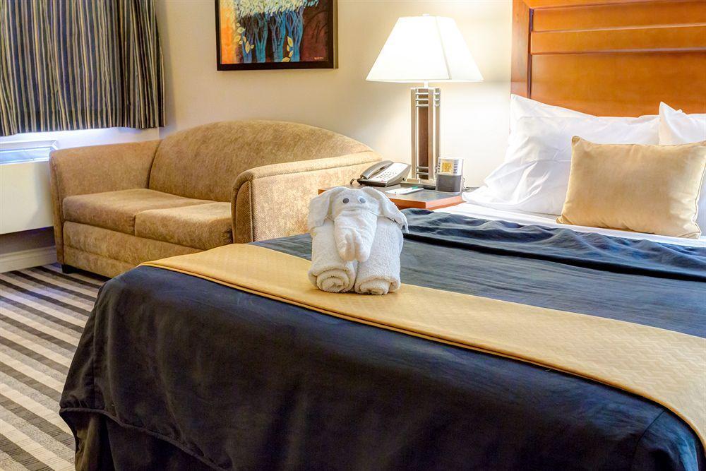 Quality Inn West Едмънтън Екстериор снимка